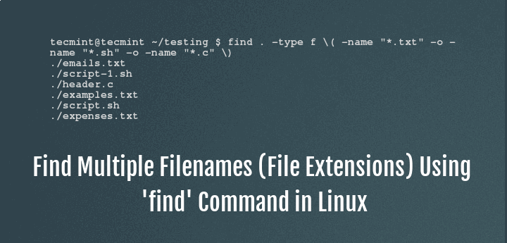 (TEST course) Mastering the find Command in Linux