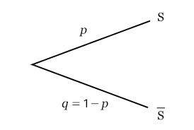 Maths SPE Première — Variables aléatoires réelles — Cours + Exercices